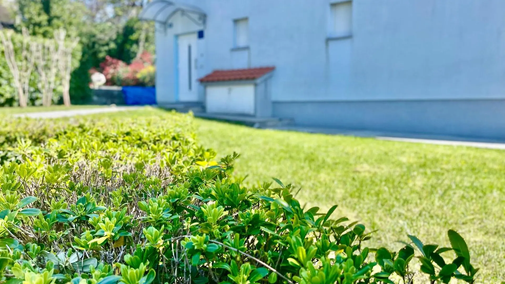 יאדראנובו Apartments - Villa Sidro